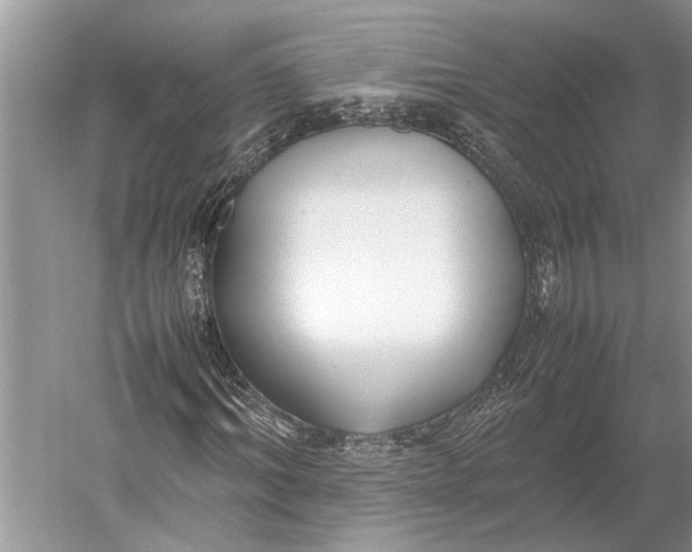 X0000052970964200508051010