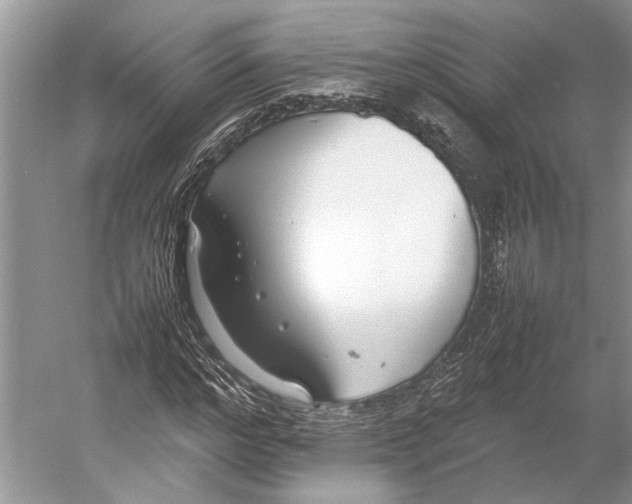 X0000052970968200508051010