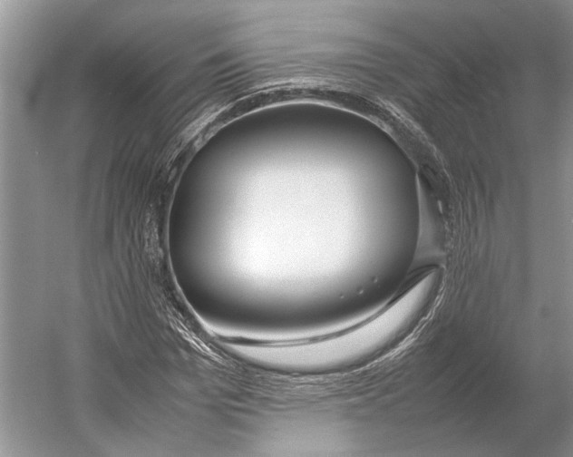 X0000052970969200508051010