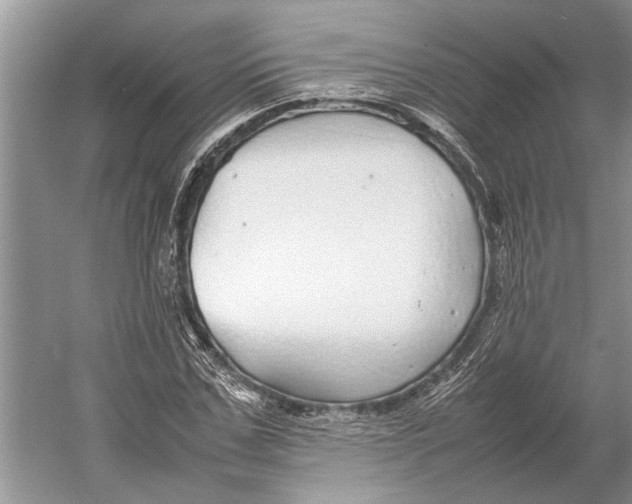 X0000052970971200508051010