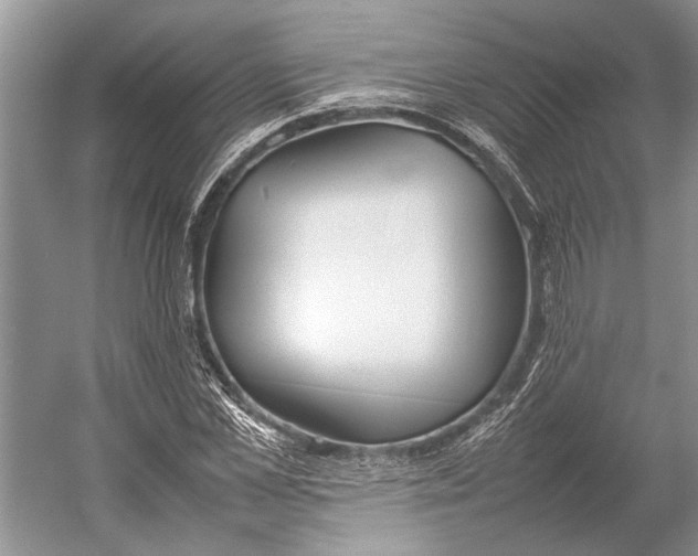 X0000052970973200508051010