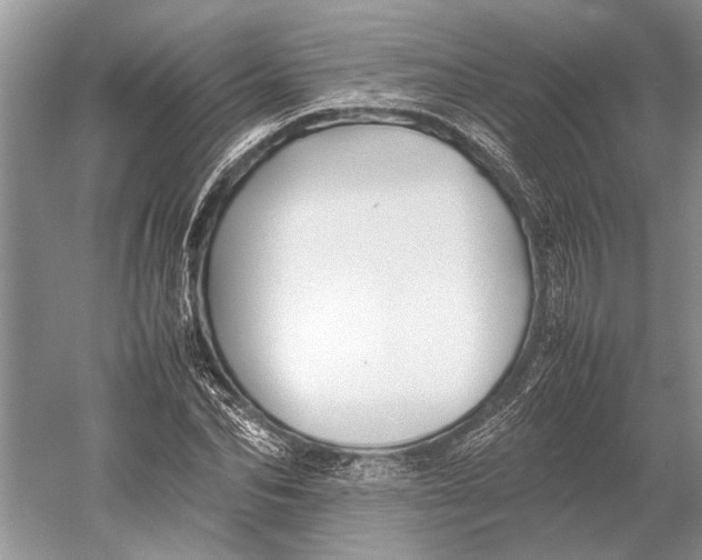 X0000052970974200508051010