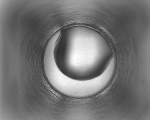 X0000052970977200508051010