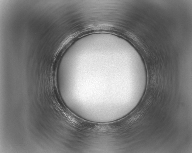 X0000052970978200508051010