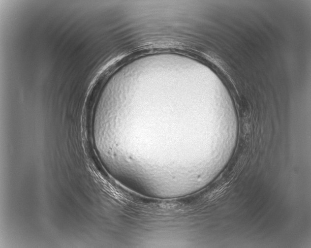 X0000052970979200508051010