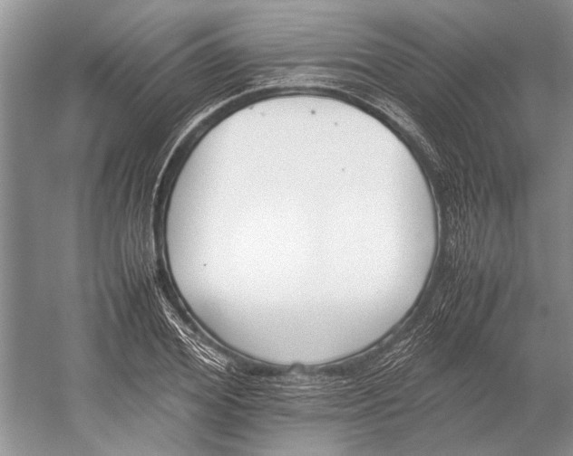 X0000052970980200508051010