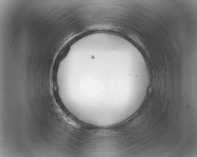 X0000052970984200508051010