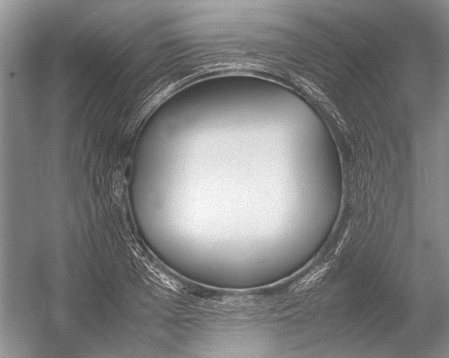 X0000052970985200508051010