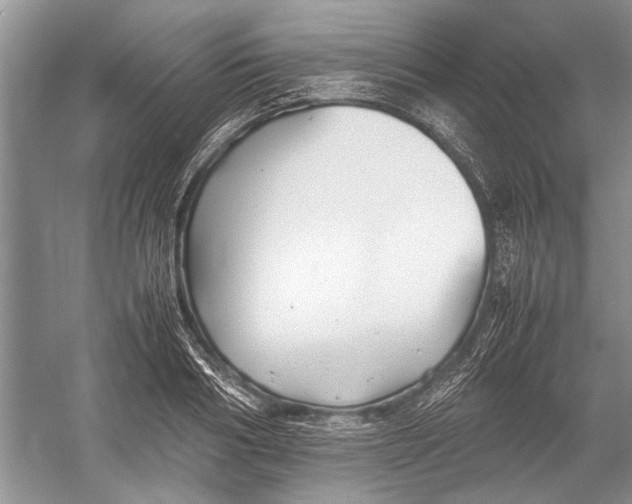 X0000052970986200508051010