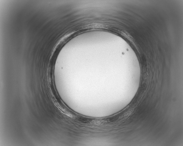 X0000052970987200508051010