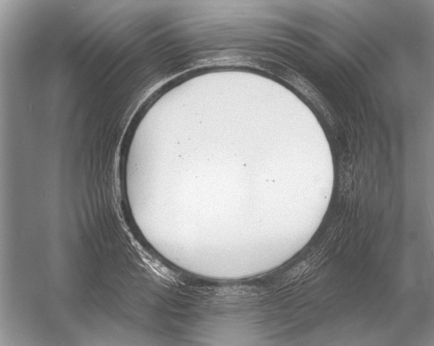 X0000052970988200508051010