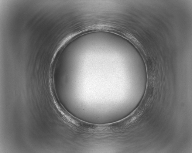 X0000052970989200508051010