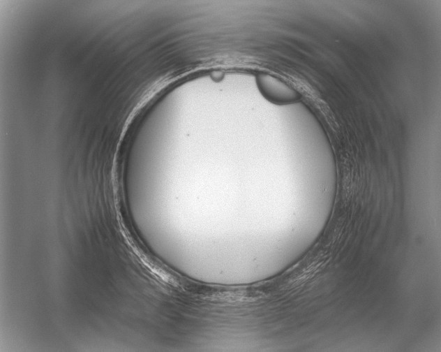 X0000052970990200508051010