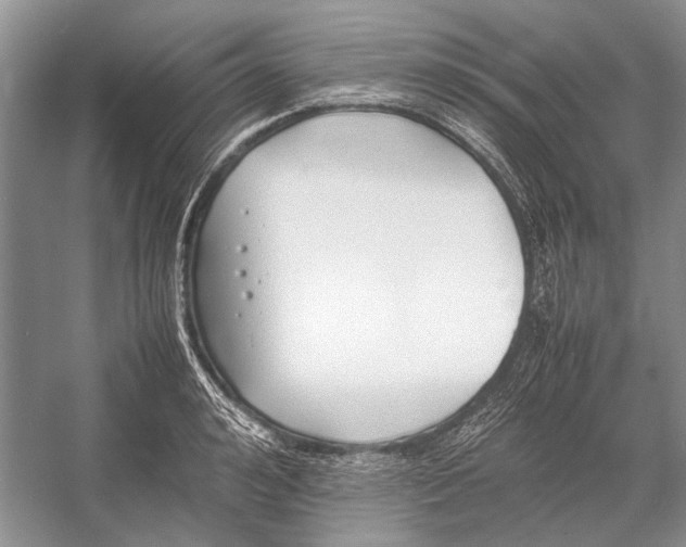 X0000052970992200508051010