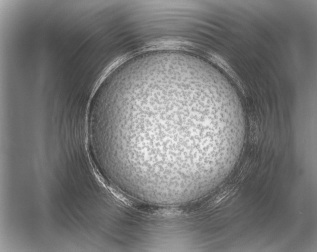 X0000052970994200508051010