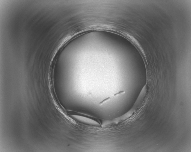 X0000052970997200508051010