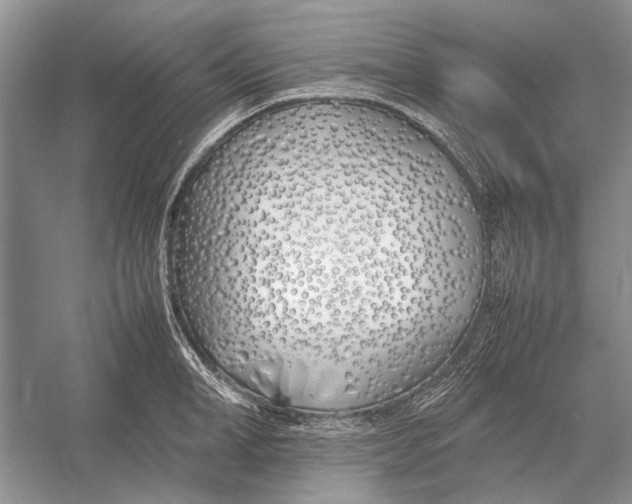 X0000052970998200508051010