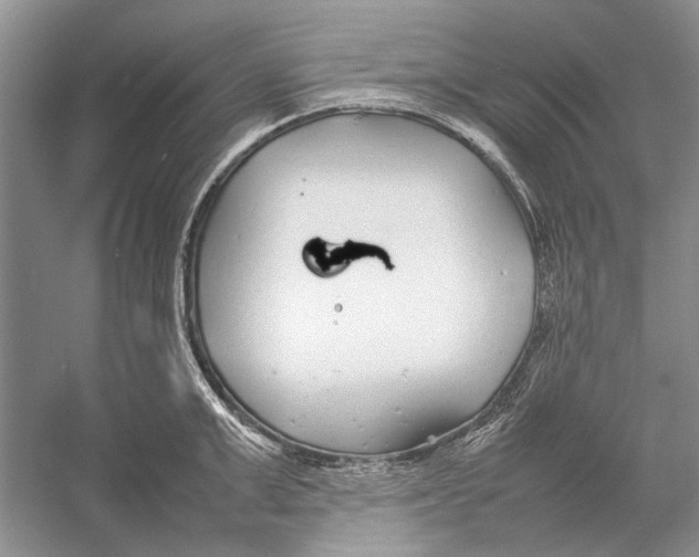 X0000052970999200508051010