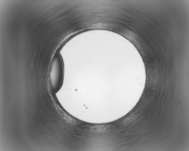 X0000052971000200508051010