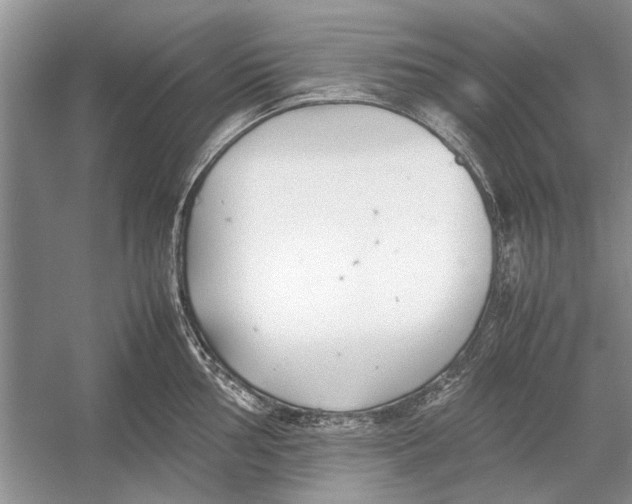 X0000052971002200508051010