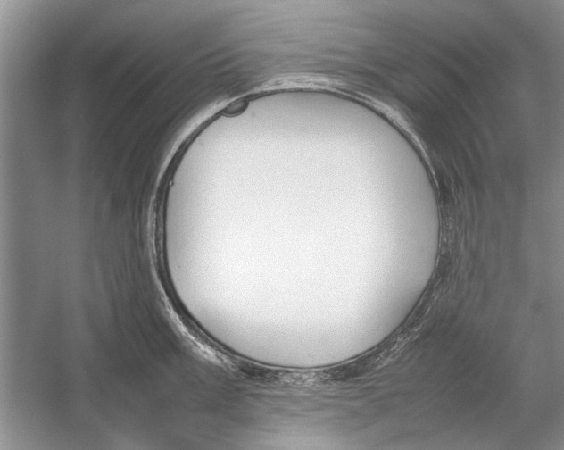 X0000052971003200508051010