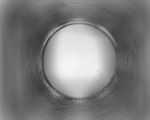 X0000052971004200508051009