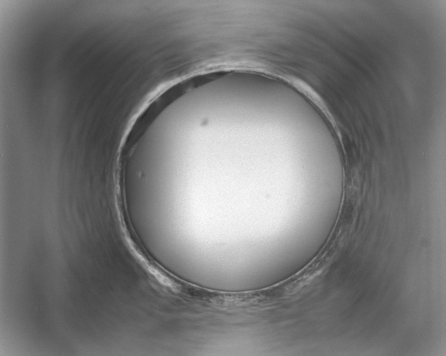 X0000052971005200508051009