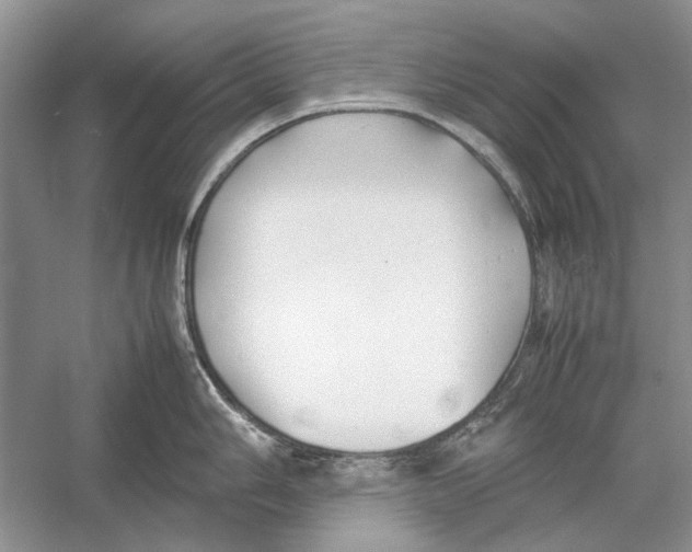 X0000052971006200508051009