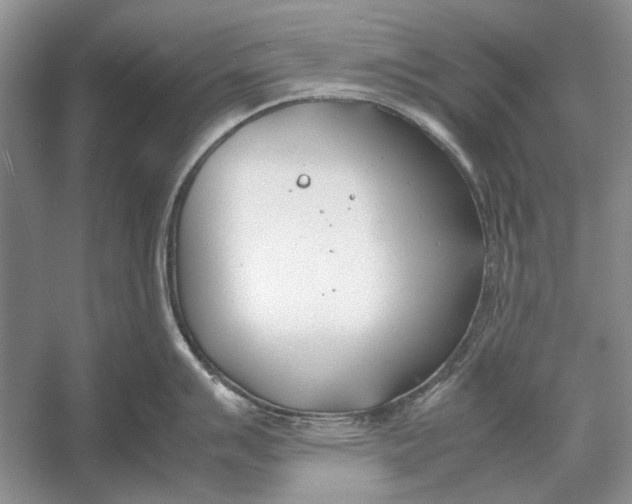 X0000052971007200508051009