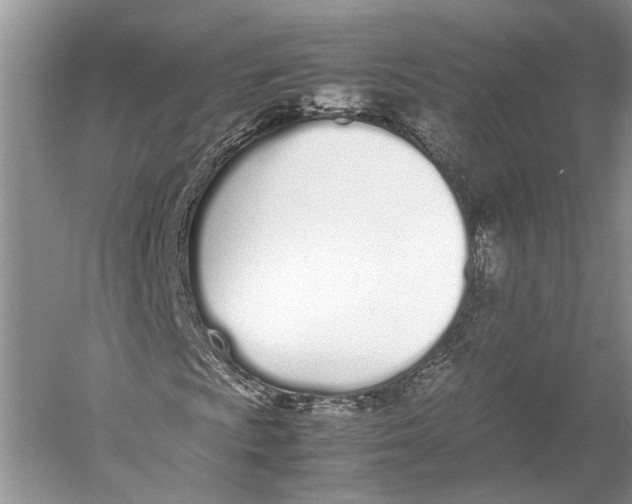 X0000052971009200508051009