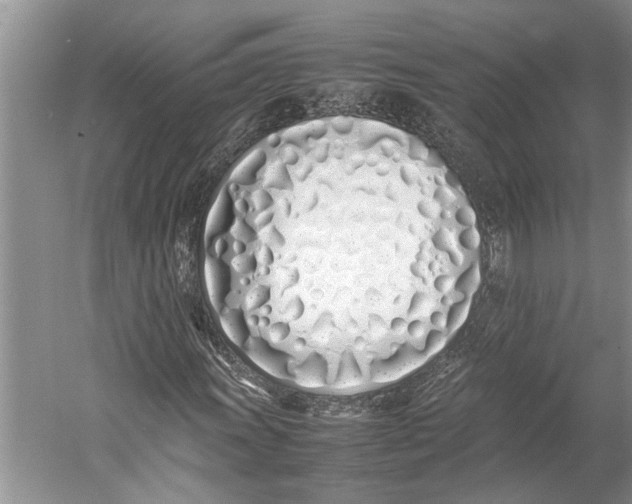 X0000052971011200508051009