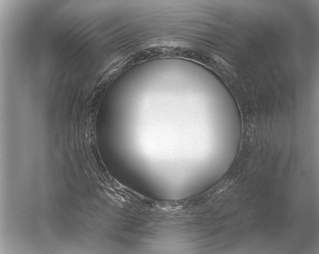 X0000052971014200508051009