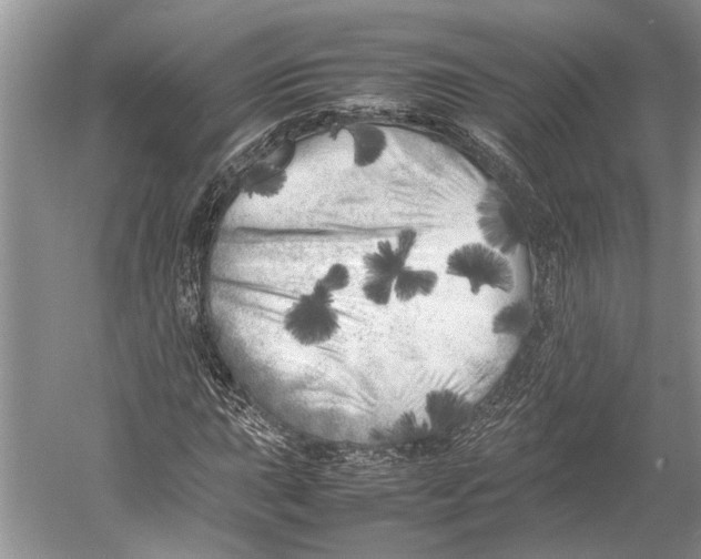 X0000052971015200508051009