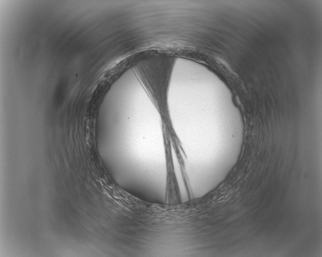 X0000052971016200508051009