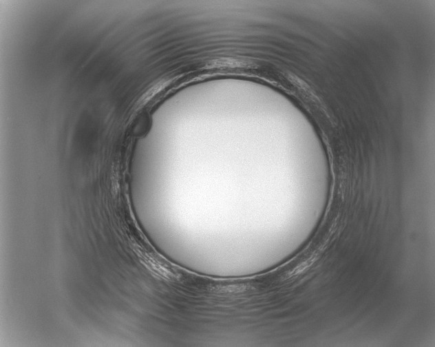 X0000052971017200508051009