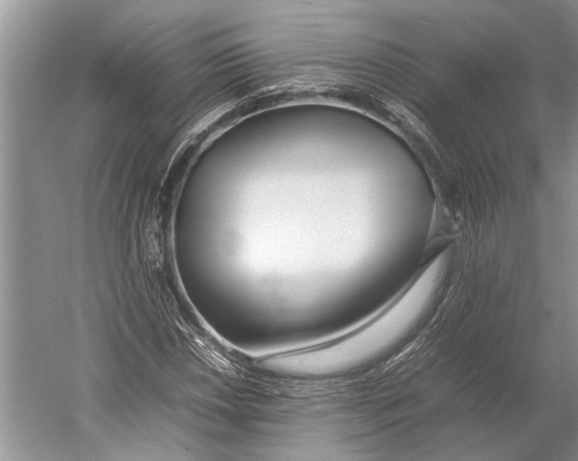 X0000052971018200508051009