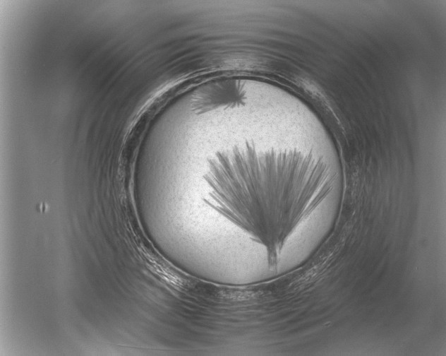 X0000052971019200508051009