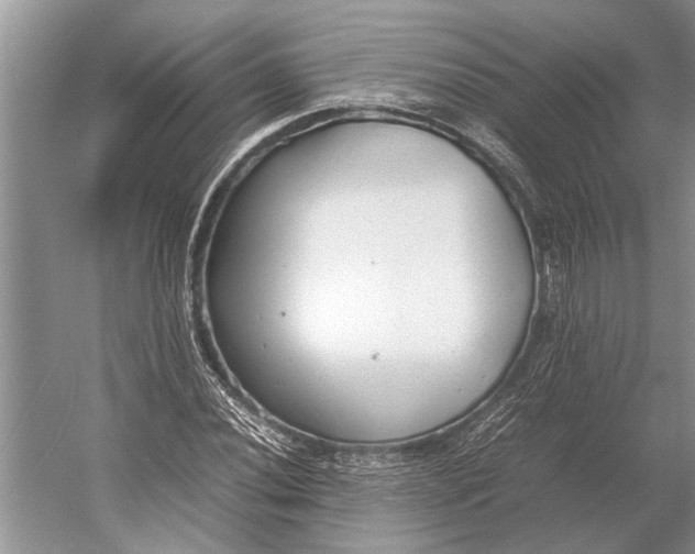 X0000052971020200508051009