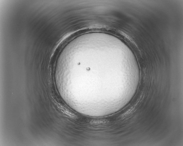 X0000052971021200508051009