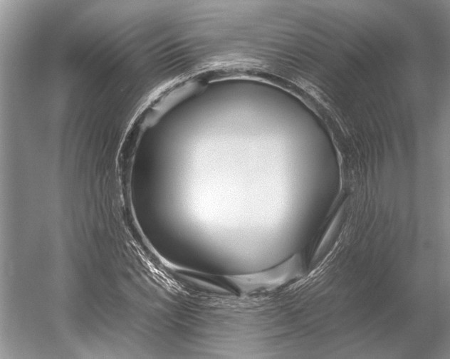 X0000052971022200508051009