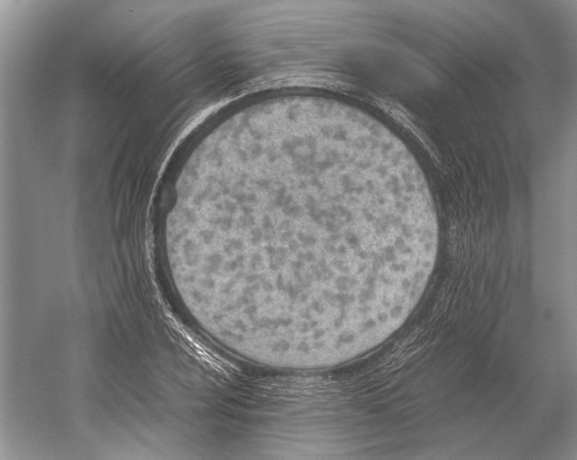 X0000052971024200508051009