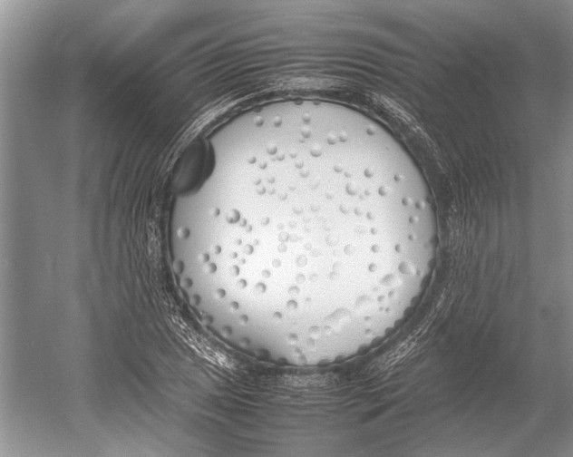 X0000052971025200508051009