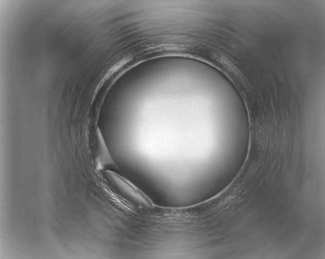 X0000052971026200508051009