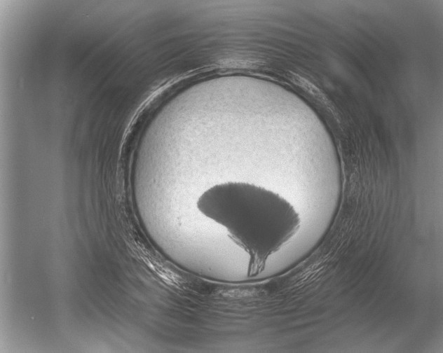 X0000052971027200508051009