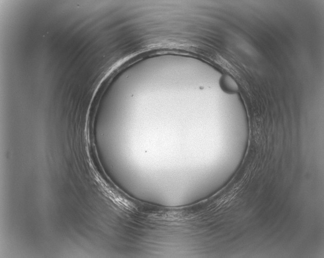 X0000052971028200508051009