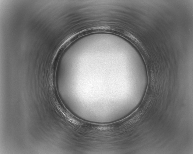 X0000052971029200508051009