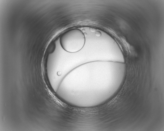 X0000052971032200508051009