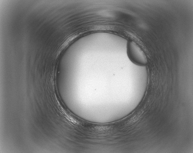 X0000052971033200508051009