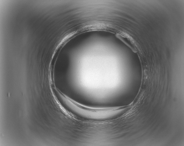 X0000052971034200508051009