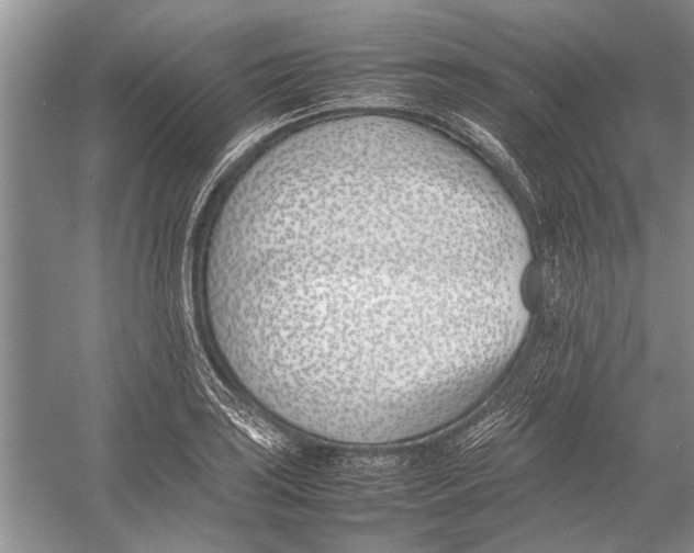 X0000052971035200508051009